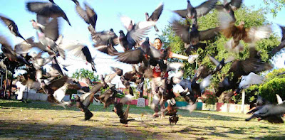 Lokasi Taman Wisata Burung Dara Indrapuri Aceh Besar