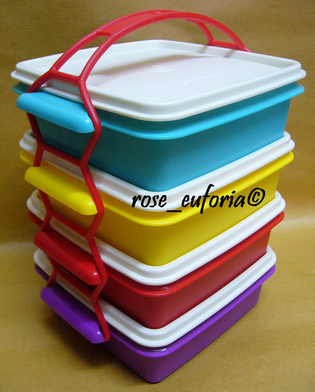 rose_euforia My Tupperware Collection Tupperware Small Goody Box with