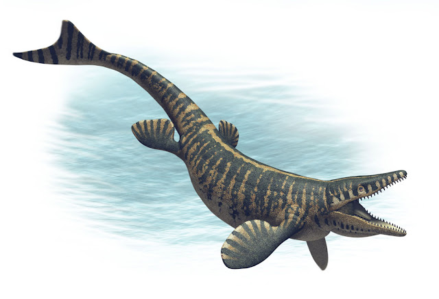 Mosasaurus hoffmanni