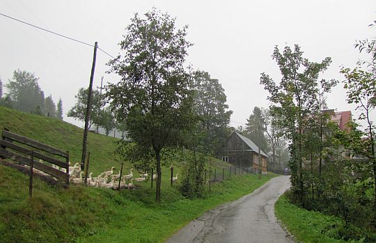 Nowy Targ, Kowaniec. Nowy Targ, Kowaniec.