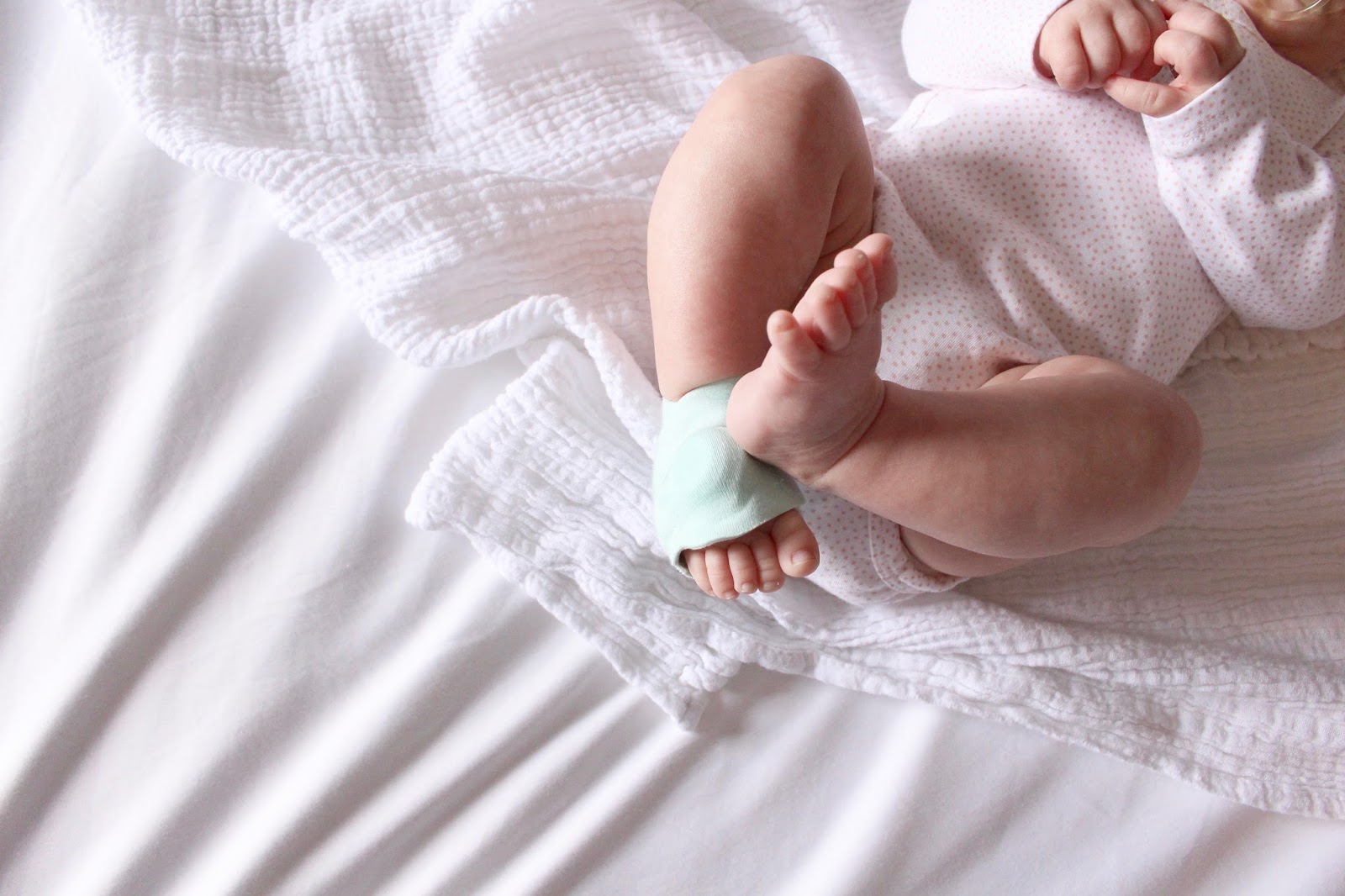 A Slice of Brie Peace of Mind with Owlet