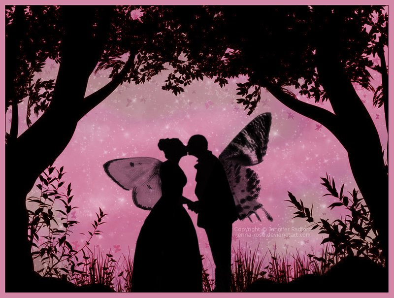 News Butterfly Butterfly Kisses