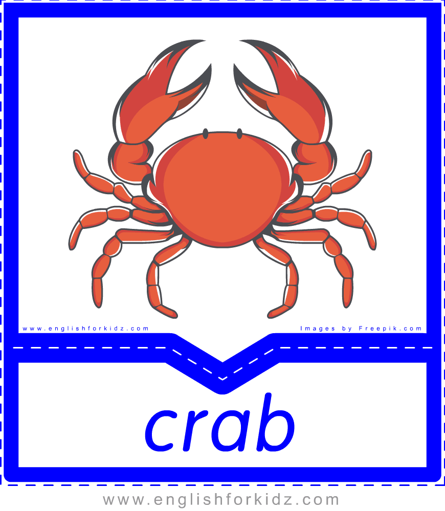 English for Kids Step by Step Printable Food & Drinks Flashcards. Part 2.