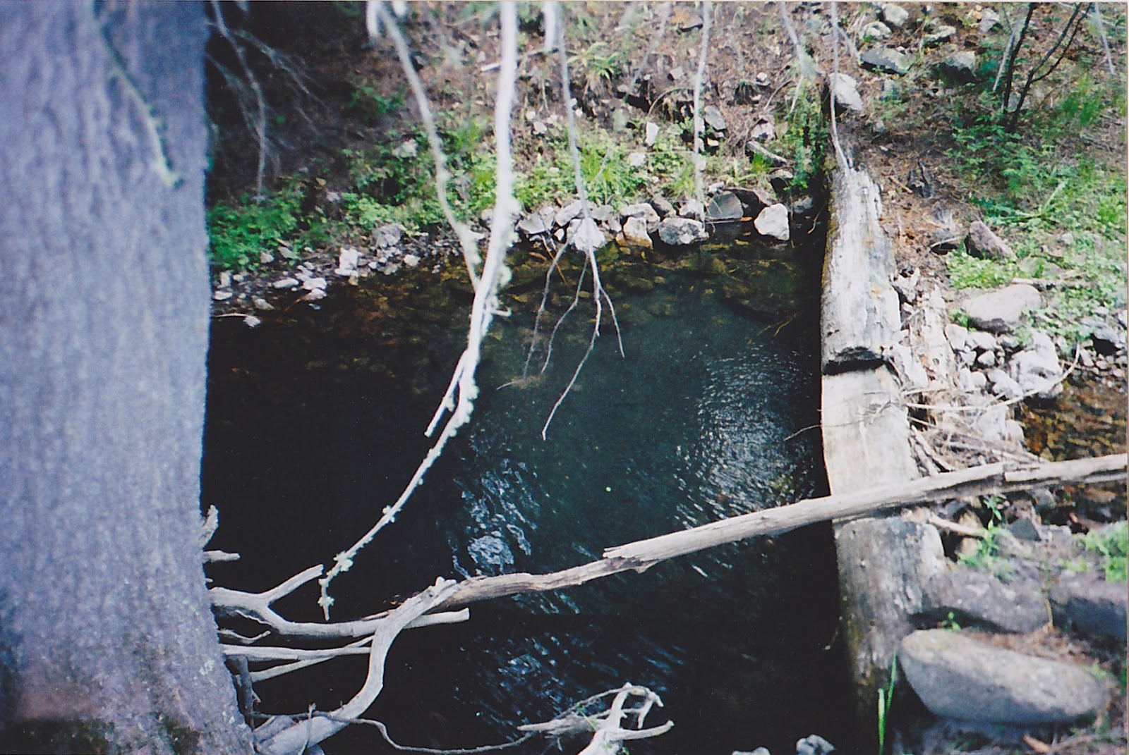 Southern New Mexico Explorer Turkey Run,Diamond Creek Gila National