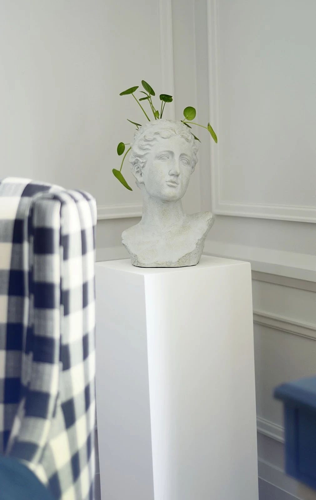 grecian bust vase, bust planter, planter on pedestal, moulding on walls, farrow and ball ammonite paint