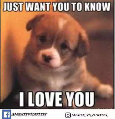 Click and get 101 best I Love You Meme that you can get anywhere else. I Love You Meme