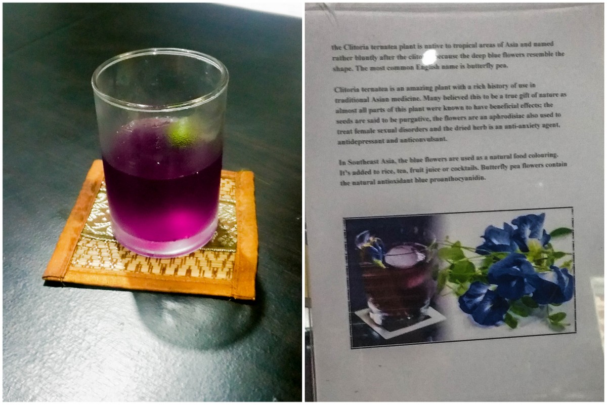 Best Place To Stay In Phuket + Gold Diggers Resort Review