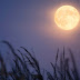 Σελήνη καλαμποκιού: Το τελευταίο γεμάτο φεγγάρι του καλοκαιριού