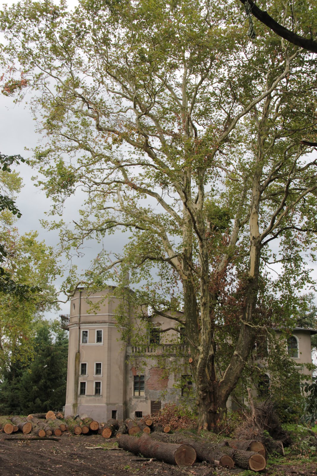 wielkopolskie impresje Uchorowo