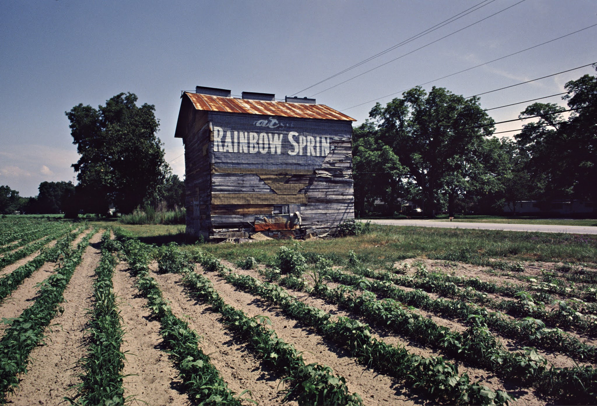 A Life in Photography The Tall Tobacco Barns
