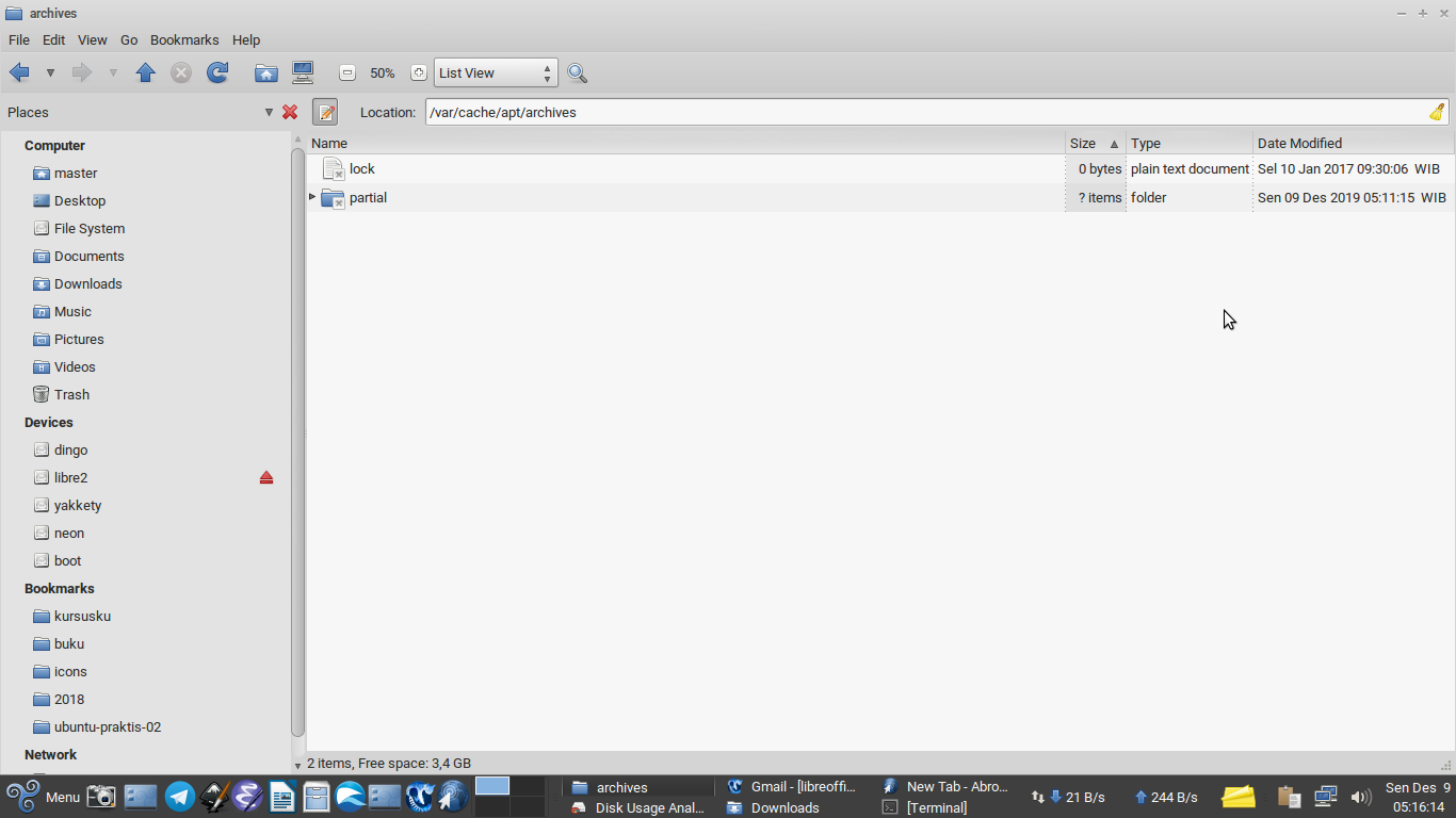 What Is The Purpose of 'aptget clean' on Ubuntu and Trisquel?