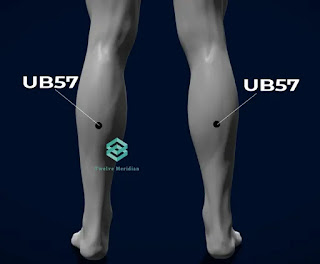 6 Best Acupressure points for quick relief from Constipation | Twelve Meridian ub57-acupressure-point-for-constipation