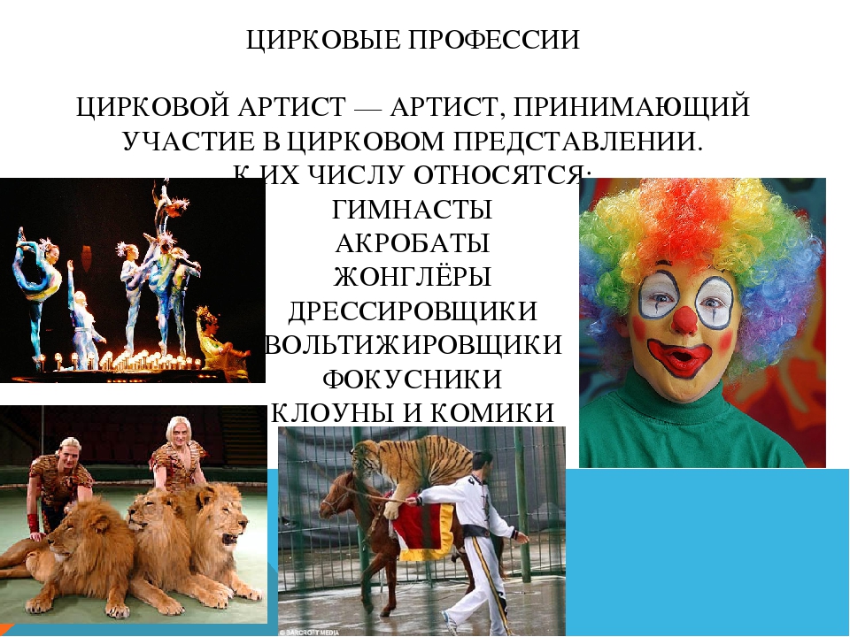 Закон клоуна. Профессии в цирке. Кто работает в цирке профессии. Презентация на тему цирк. Профессии в цирке для детей.