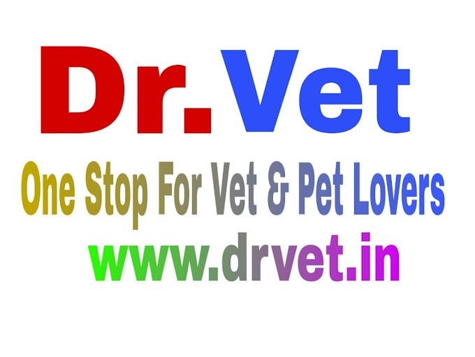 Scope For Veterinarian (B.V.Sc & A.H.)