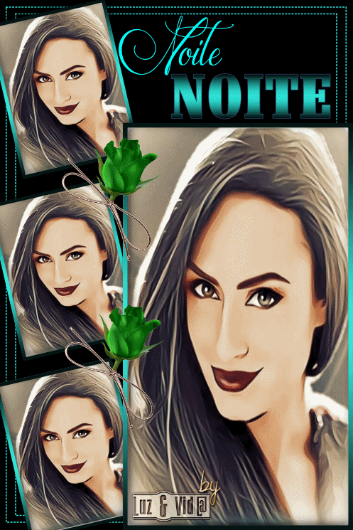 NOVO51-%2528MB%2529maryluz.gif