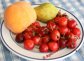 1021º Menú, Hervido de vainas, carne rebozada, ensalada y fruta 
