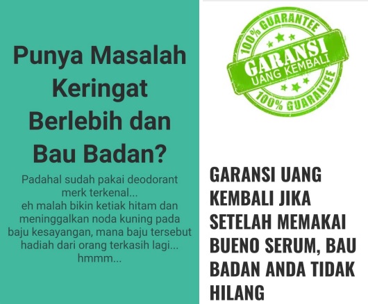 serum bueno serum bueno