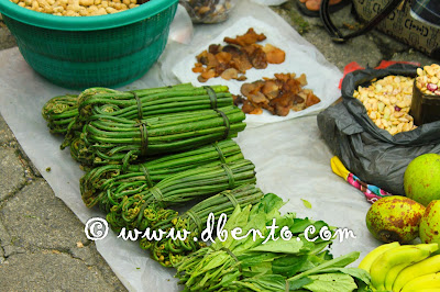 paku untuk gulai atau rendang