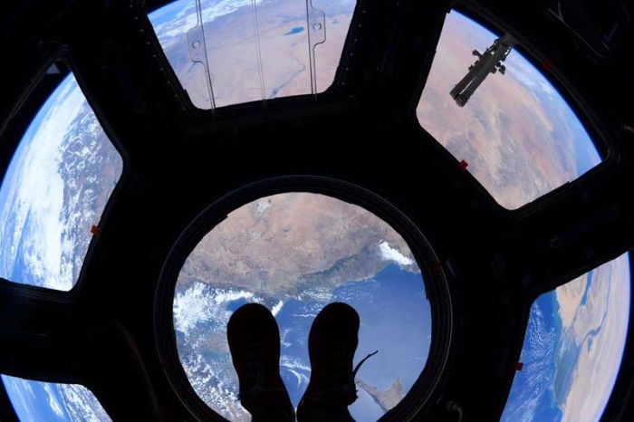 On top of the world (Scott Kelly, ISS)
