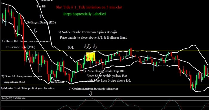 Forex medium probability setuos