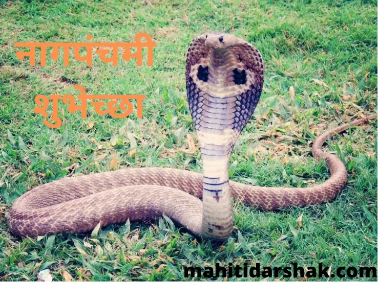 Nag Panchami Shubhecha in Marathi