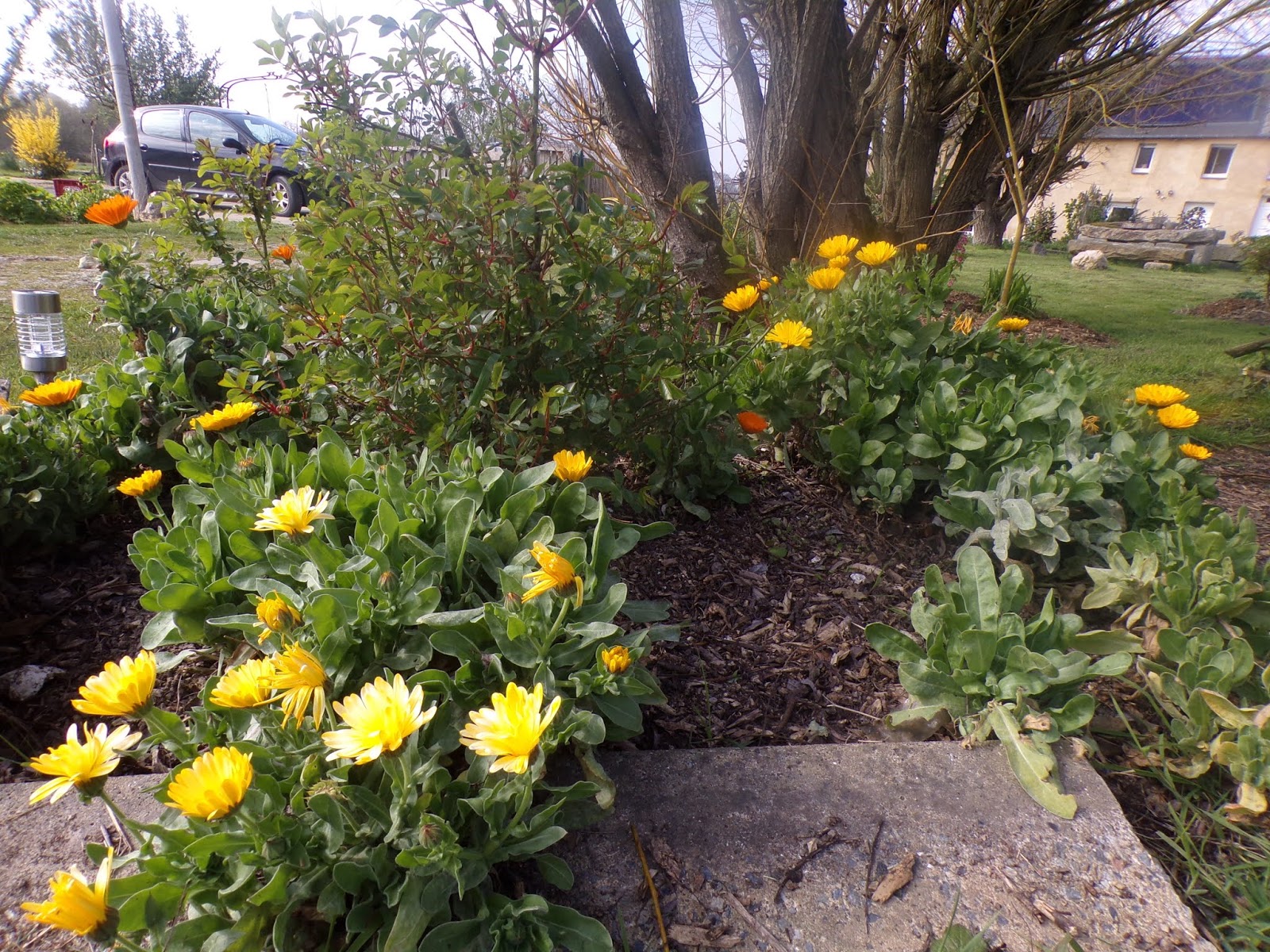 The Permaculture Research Institute