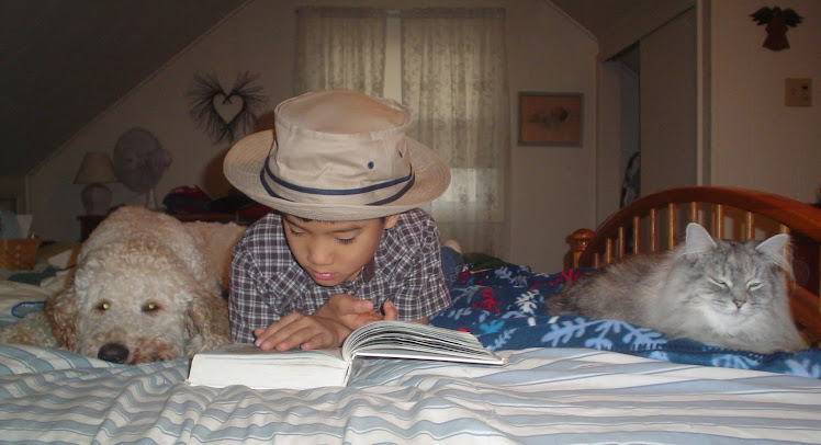 Under the Evergreens: Our Favorite Gluten Free Bread Recipe