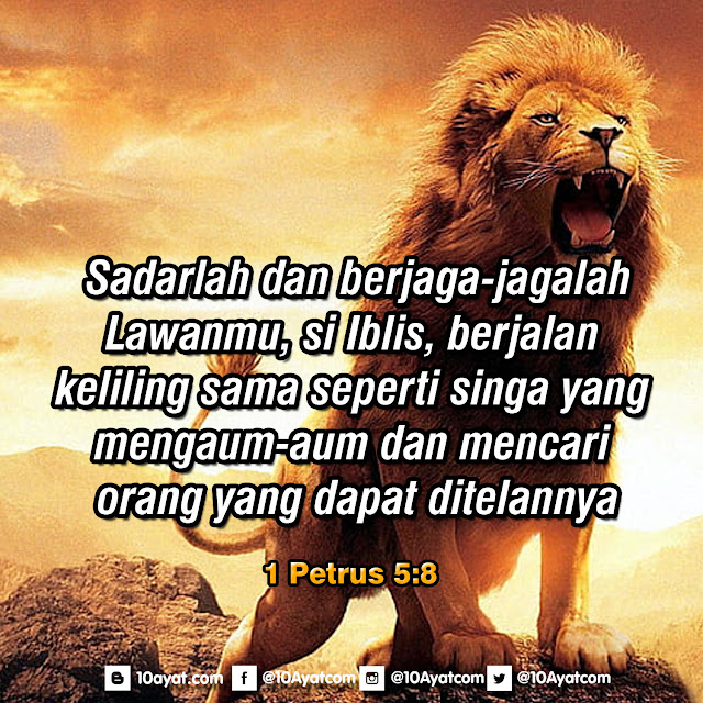 1%2BPetrus%2B5 8