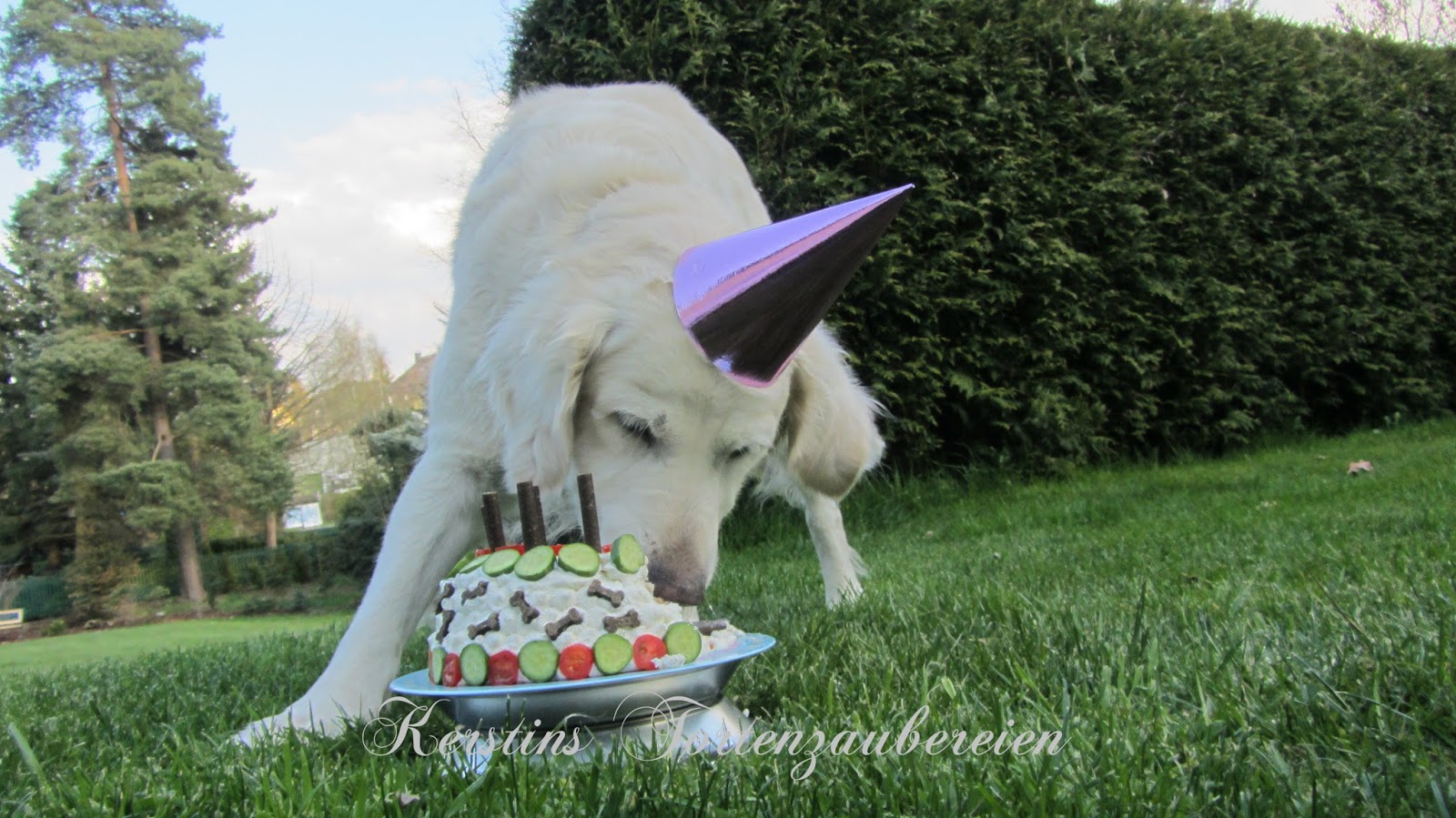 Törtchen zum Hundegeburtstag