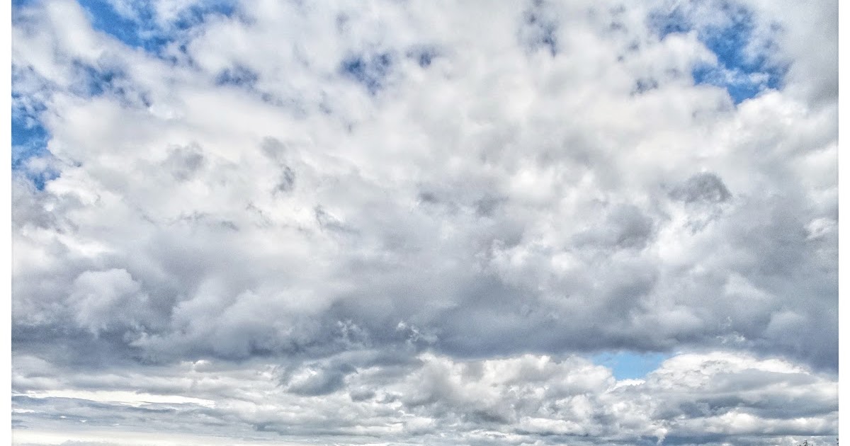 A Postcard from the Beach Qualicum Beach miscellaneous beaches to