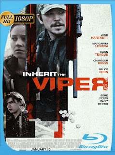 Inherit the Viper (2019) HD [1080p] Latino [GoogleDrive] SXGO