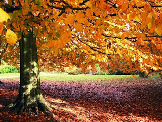 geld besparen in herfst en winter