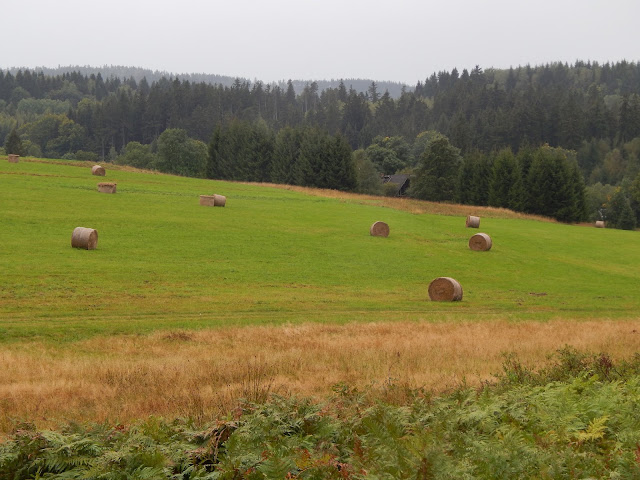 góry stołowe