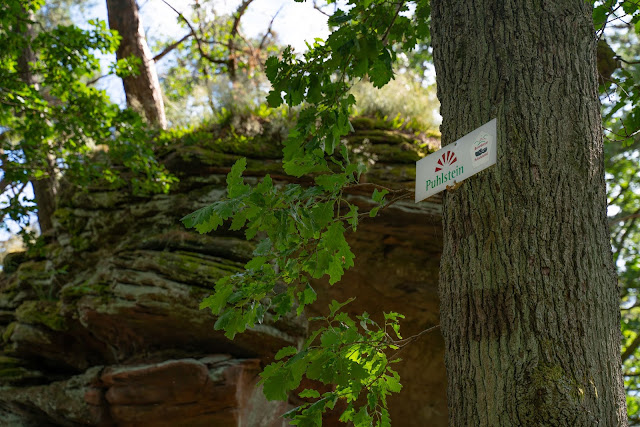 Wasgau-Felsenweg | Wandern Südliche Weinstraße | Naturpark Pfälzerwald 16