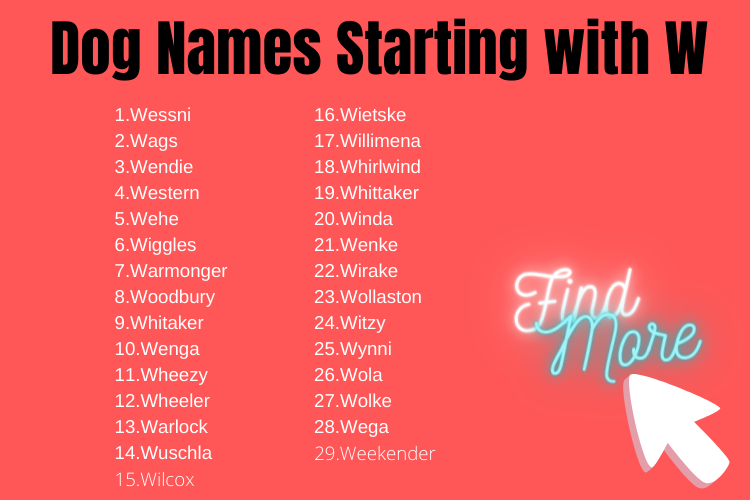 Dog Names That Start With W For Girl And Boy Dog
