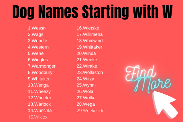 Dog Names Starting with W