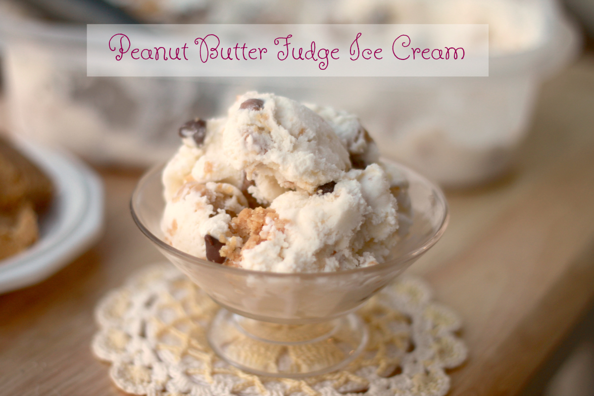 Peanut Butter Fudge Ice Cream Crazy for Cookies and More