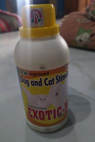 Cara Mengatasi Kucing Tidak Bisa Kencing Disertai Kencing Berdarah