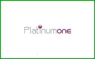Platinumone Business Services