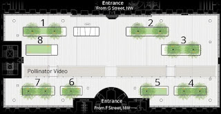 Site Plan for Orchids Exploration