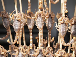 Scorpion on a stick - Snack Steet, Wangfujing