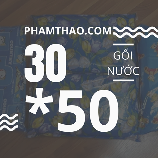 Gối nước mát kích thước 50 x 30cm cao cấp Ngọc Thảo Gối nước mát kích thước 50 x 30cm cao cấp Ngọc Thảo