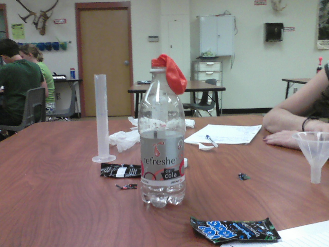 Chemistry Reflection Conservation of Mass Lab Investigation