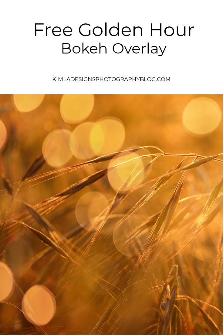 Free Golden Hour Glow Overlay — Kimla Designs Photography