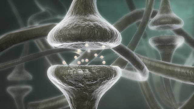 Πώς οι σκέψεις μας αλλάζουν τον εγκέφαλο, τα κύτταρα και τα γονίδιά μας  