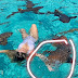 Influencer leva mordida ao tentar tirar fotos com tubarões: "Arrancou um pedaço do meu braço"