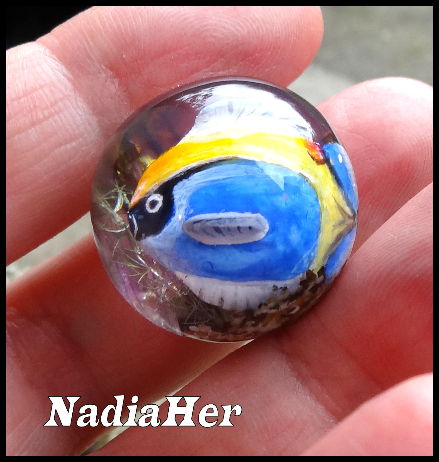 Bulle aquarium à quatre mains.