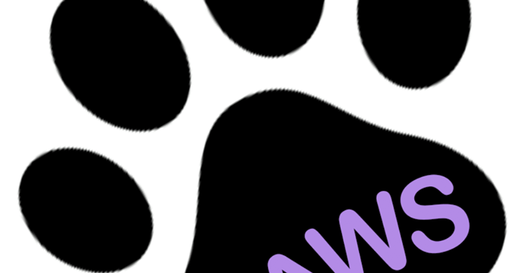 The Story of Paws Cat Cafe