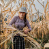 New Visions, Cortona On The Move cerca i nuovi talenti della fotografia