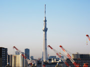 朝陽を浴びて白く輝くスカイツリー。 爽やかな青空の広がる東京。 (skytree )
